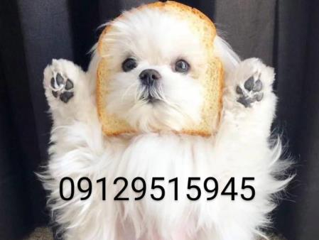 First img